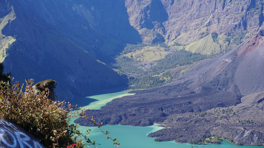 Rinjani Trails Hotel Senaru Exteriér fotografie